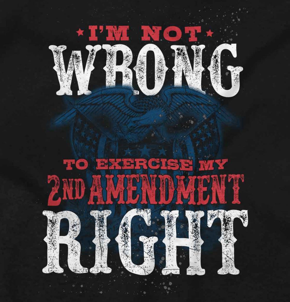 2nd Amendment Right T-Shirt | Tactical Tees, image size:982x1024